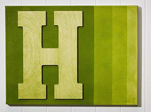 Farba w sprayu Design Master Tint IT Transparent Dye, 10 uncji, Chartreuse