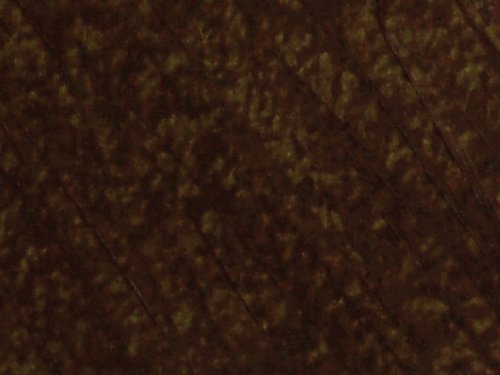 SZTYFRY OLEJNE SHIVA BURNT UMBER