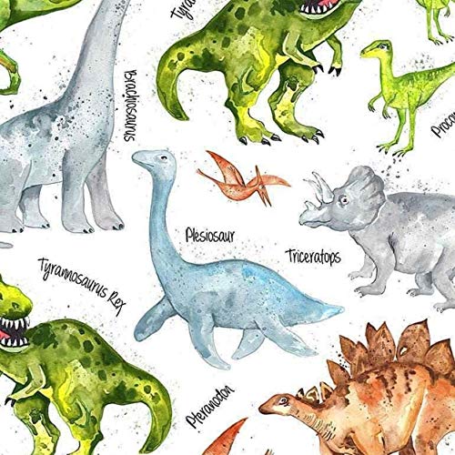Ponadczasowe Skarby Tkaniny Dino Trek Dinozaury i Nazwy