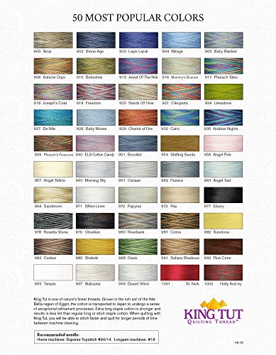 Superior Threads 121029XX999 Desert Wind King TUT Cotton Quilting Thread, 2000 jardow
