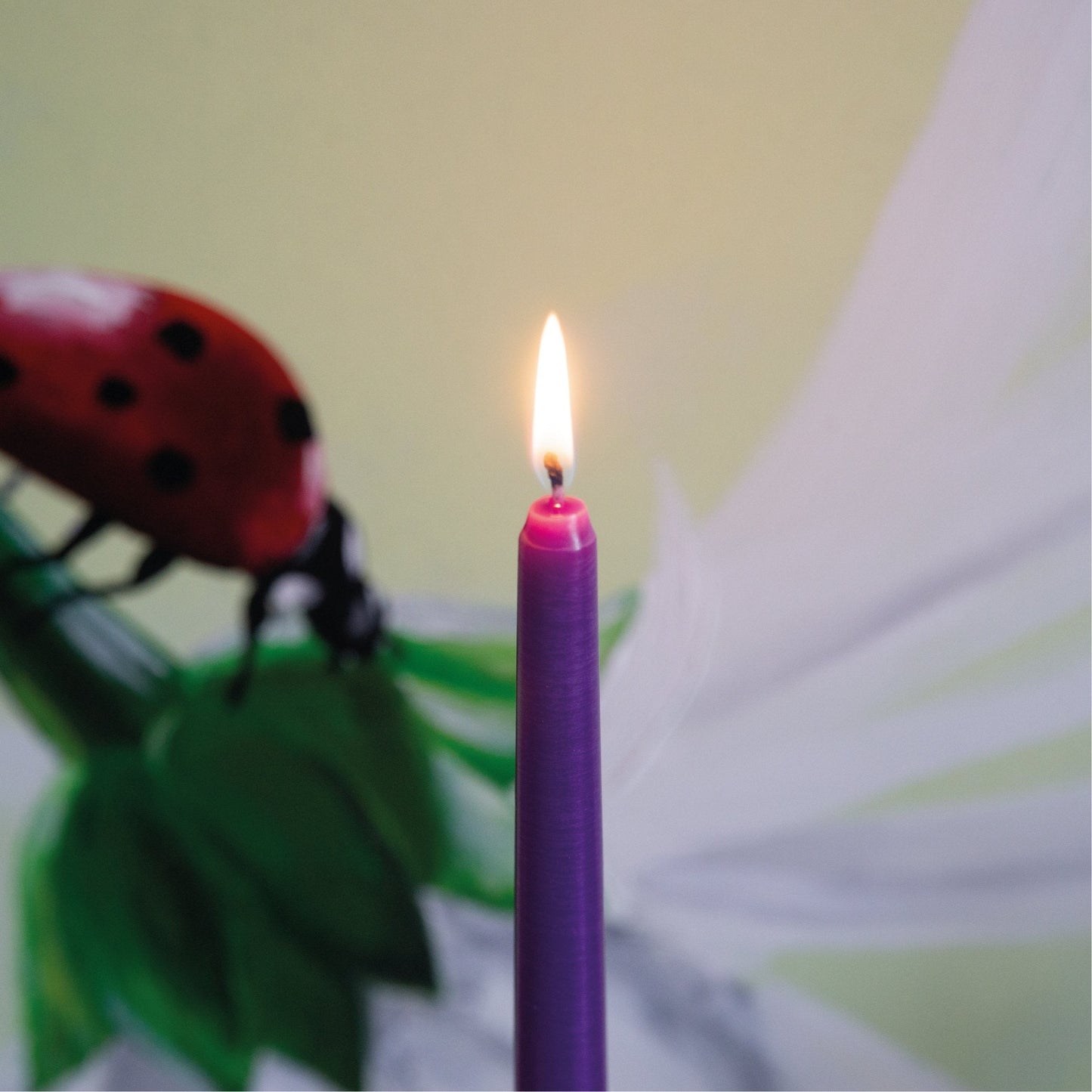 Swiece stozkowe CANDWAX Purple