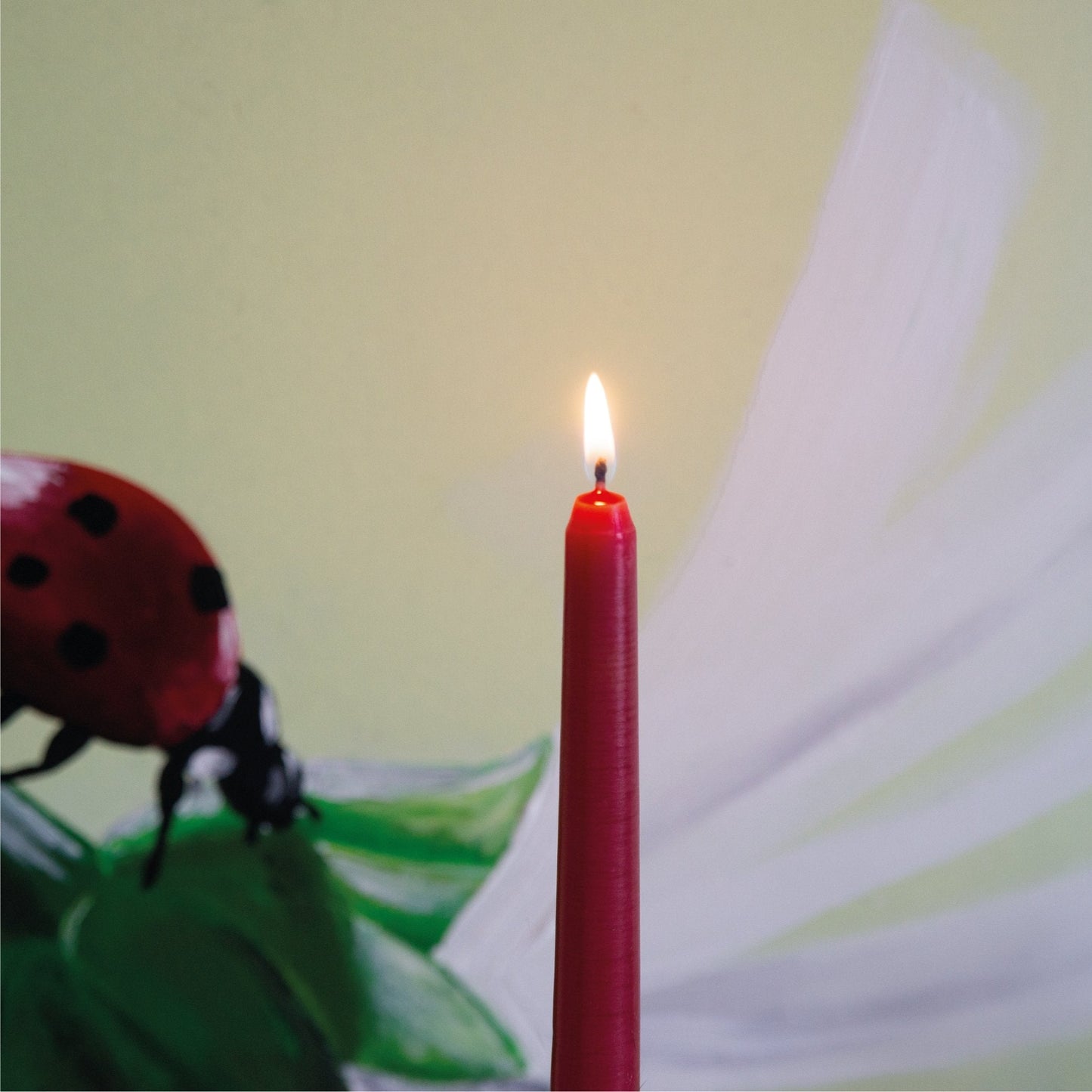 Swiece stozkowe CANDWAX Bordeaux