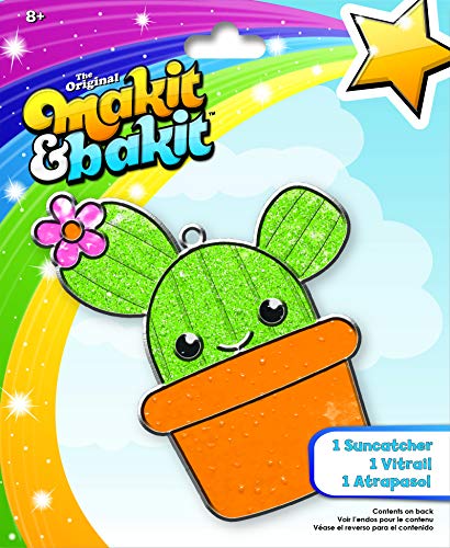 Kaktus lapacz slonca Major MIBI