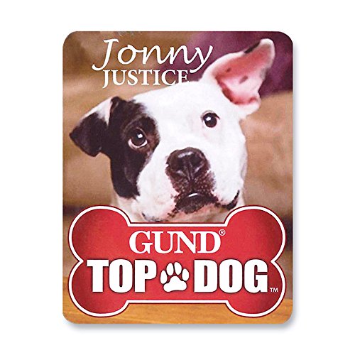 Jonny Justice, 8 lat