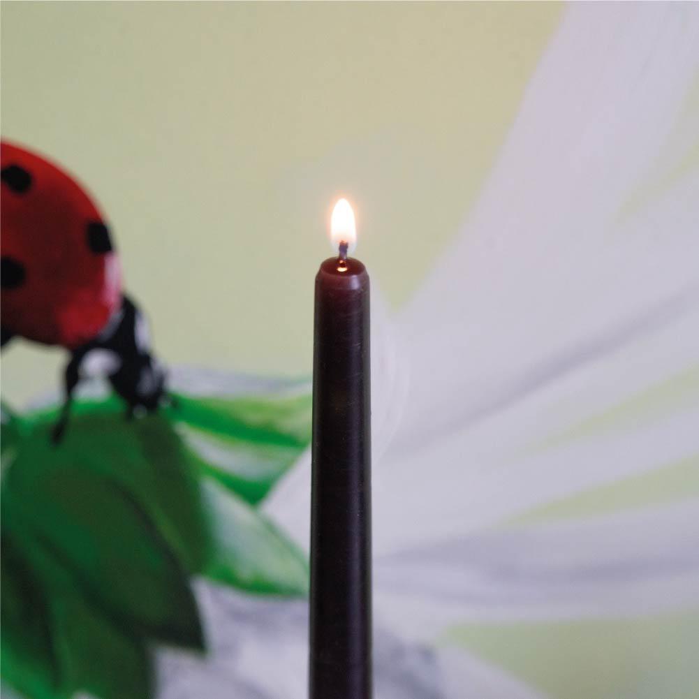 Swiece stozkowe CANDWAX Coal Green